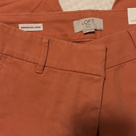 LOFT Bermuda Roll Shorts Size 10p NWT - Picture 3 of 3